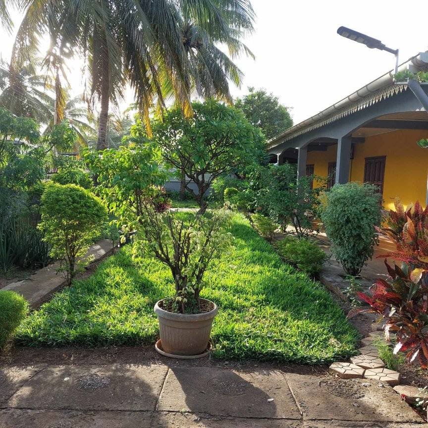 VILLA TIARE — photo 1