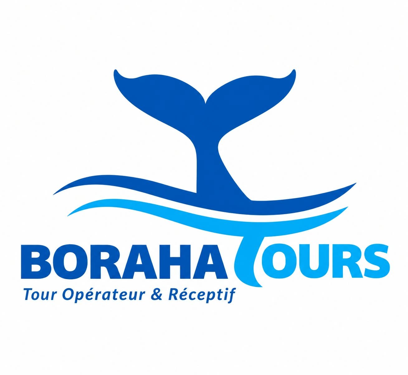 Logo Boraha Tours