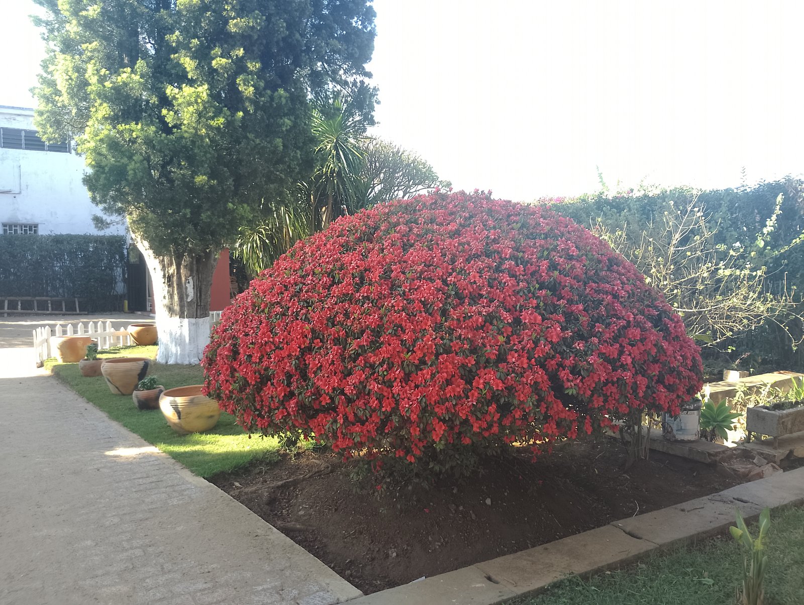 AkalanaHouse — photo 3