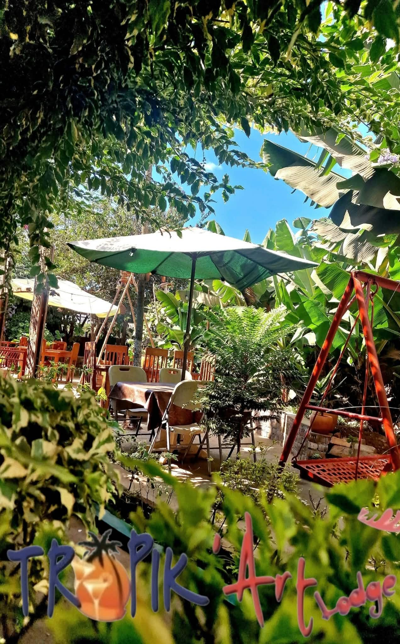 Tropik'Art Lodge — photo 4